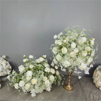 Bahagian tengah Gypsophila