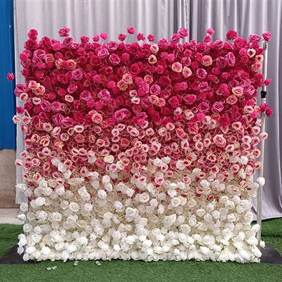 Latar Belakang Dinding Bunga Mawar